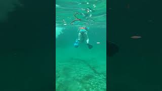 First Cenote Snorkeling Experience [upl. by Ahiel]