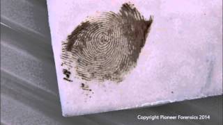 Amido Black 10B Process for Bloody Fingerprints [upl. by Coney]