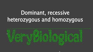 dominant recessive heterozygous and homozygous English [upl. by Mosby]