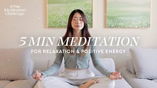 5 Minute Meditation for Relaxation amp Positive Energy  30 Day Meditation Challenge [upl. by Eyllek]