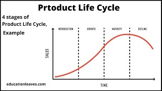 Product Life cycle 4 stages of product life Cycle [upl. by Worrell367]