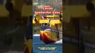 Un avion pas comme les autres ceci est un bombardier deau pour les incendies fire avion fyp [upl. by Kelila]