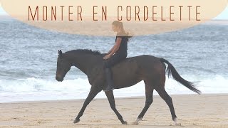 Comment monter en cordelette [upl. by Euqirrne989]