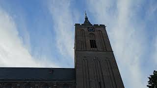 Naarden NL  Kerkklokken luidklokken klokken luiden Grote Kerk [upl. by Yarazed]