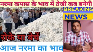 आज नरमा का मंडी भाव  narma ka bhav today  kapas ka bhav today  narma ki live boli today  Cotton [upl. by Hogan]