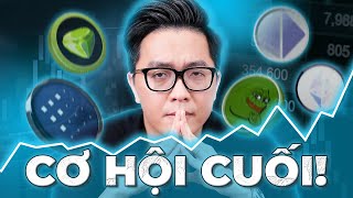 Top 5 Dự Án Tiềm Năng “PUMP MẠNH” Sau BITCOIN Halving… Có Đáng Để Đầu Tư  mInvest [upl. by Hairahcez]