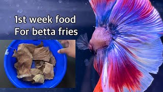 Infusoria culture  1st week food for betta fry Betta fish [upl. by Ikcim]