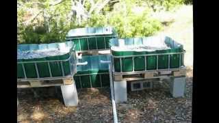 Aquaponics The Build [upl. by Brody77]