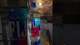 Fiji water review [upl. by Einahpet652]