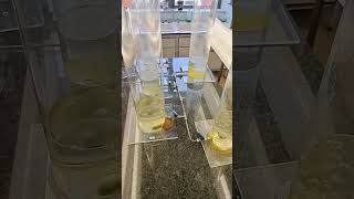 Water purification studies using algae [upl. by Naaman421]