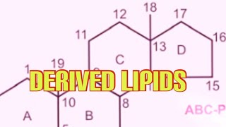 Derived Lipids Biochemistry [upl. by Castro126]