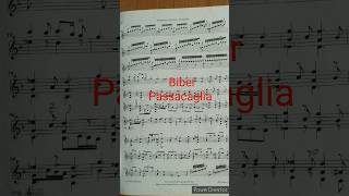 Biber Passacaglia Violin [upl. by Lehcim589]