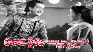 Pranaya Jeevulaku Haayiga Full Video Song  Patala Bhairavi  NTR  K Malathi  ETV Cinema [upl. by Aurelea]