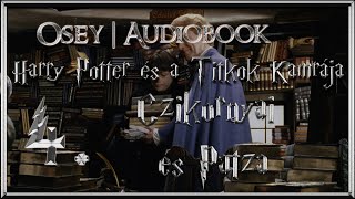 Harry Potter és a Titkok Kamrája hangoskönyv  4 fejezet [upl. by Drazze895]