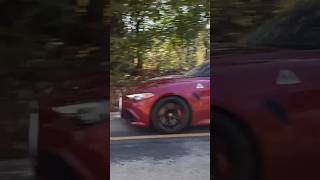 Alfa Romeo Giulia Quadrifoglio Sounds Awesome alfa alfaromeo driving exhaust shorts [upl. by Devora]