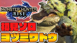 ヨツミワドウがサンドバッグすぎるｗｗPART2【モンハンライズ全クエ制覇】 [upl. by Zalea490]