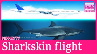 ANA flies first sharkskininspired coating [upl. by Ardnaed]