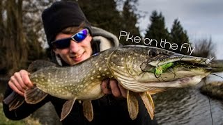 Spring Incoming  Pike on the Fly [upl. by Nnyladnarb682]