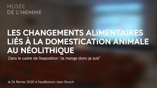 Les changements alimentaires liés à la domestication animale au Néolithique [upl. by Ailatan]