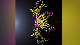 Orchestra of Amino Acids [upl. by Aicileb]