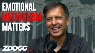 The Toxic Metabolic Effects of Stress  Dr Ronesh Sinha [upl. by Walley248]