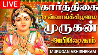 🔴LIVE செவ்வாய்க்கிழமை முருகன் அபிஷேக காட்சி பாருங்க  Murugan Abhishekam murugan abhishekamshorts [upl. by Mateusz221]