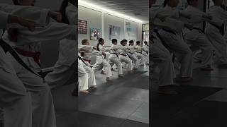 Taekwondo Training taekwondo [upl. by Howzell]