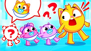 Baby Got Lost In The Shopping Mall for Kids  Funny Songs For Baby amp Nursery Rhymes by Toddler Zoo [upl. by Grannia]