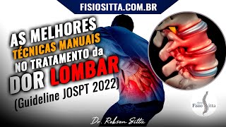 DOR LOMBAR AGUDA e CRÔNICA A PRÁTICA BASEADA EM EVIDÊNCIAS CIENTÍFICAS Fisioterapia Dr Robson Sitta [upl. by Diraf]