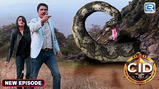 एक Wild और Risky Adventure पर निकली CID Team  Full Episode  Latest Episode  Best Of CID [upl. by Carri245]