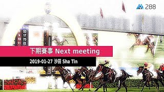 香港賽馬直播評述  20190127 沙田  Hong Kong Horse Racing Live 20190127 Sha Tin [upl. by Boudreaux]