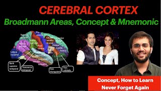 Cerebral Cortex  CNS Physiology  Brodmann Areas Mnemonic amp Conept Video  Neuroanatomy [upl. by Seaman339]