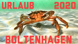 2 Minutes of Urlaub Boltenhagen 2020 [upl. by Hadeehsar139]