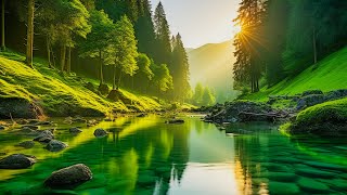 Beautiful Relaxing Music  Stop Overthinking Stress Relief Music Sleep Music Calming Music 14 [upl. by Aratehs]