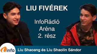 A Liu fivérek naginterjúja 2 rész Liu Shaolin Sándor és Liu Shaoang  InfoRádió  Aréna [upl. by Ilrak]