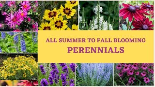 Best Perennial Flowers  All Summer Perennials  Perennials for that bloom all season  House Talks [upl. by Aziram]