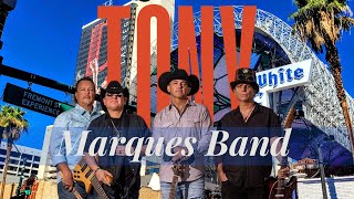 🔴 Tony Marques Band Live 🤠 Fremont Street Experience [upl. by Ailene]