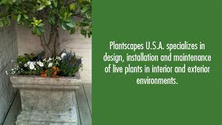 Interior amp Exterior Plant Design Installation amp Maintenance in Philadelphia 610 329 3935 [upl. by Alabaster]