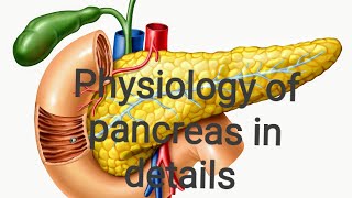 physiology of pancreas in details for all examination [upl. by Tomi]