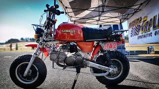 HONDA GORILLA ホンダ ゴリラ Custom Bike JDスター [upl. by Parke]