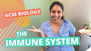 Immune System  GCSE  IGCSE Biology [upl. by Suinotna]