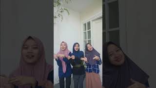 cis cis cis fyp hoihoi tiktok trend [upl. by Tadashi]