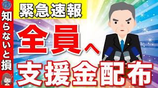 【緊急速報】国民全員に給付！年金生活者だけじゃない！公明党が発表した新しい支援！食料品クーポンとは？【給付金金券総裁選】 [upl. by Eceertal]