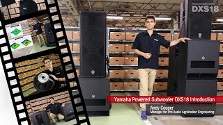 Yamaha Powered Subwoofer DXS18 Introduction [upl. by Nonrev57]