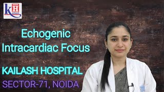 Awareness about Echogenic Intracardiac Focus by Dr Shruti Jain  Kailash Hospital Sector 71 Noida [upl. by Letha]