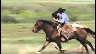 Waggoner Ranch 1994 AQHA Best Remuda Award winner [upl. by Brewster]