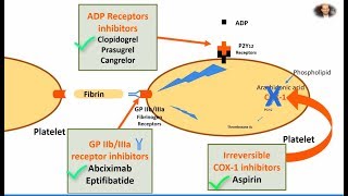 Antiplatelet Aspirin Clopidogrel and Abciximab in 2 mins [upl. by Novel]