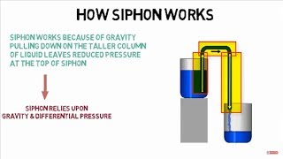 How siphon works [upl. by Tloc]