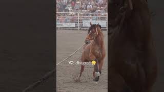 Skiing is cool but rode shouold be the state sport of Montana horse prorodeo cowboy cowgirl [upl. by Widera]