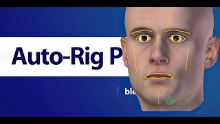 AutoRig Pro Facial markers setup v357 [upl. by Oemac338]